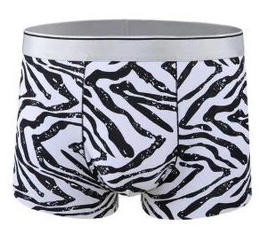 Pánské spodní prádlo s novým designem